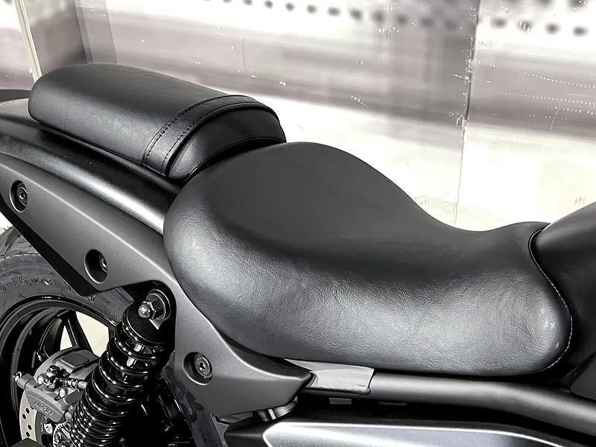 Kawasaki Eliminator 500 (2024 - 26) (4)
