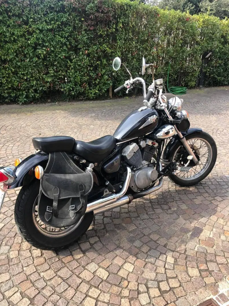 Yamaha XV 250 S Virago (1994 - 01) (4)
