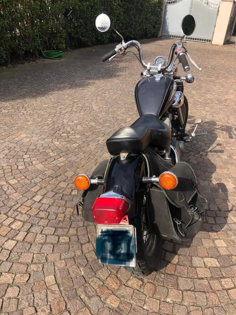 Yamaha XV 250 S Virago (1994 - 01) (10)