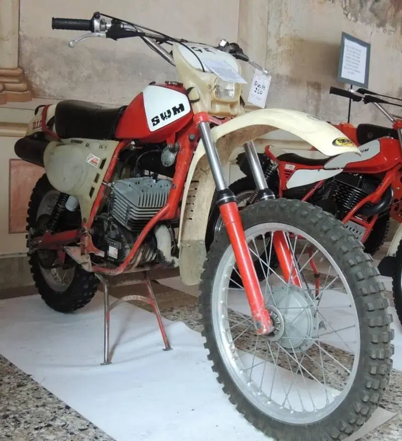 Swm RS 250 gs (2)