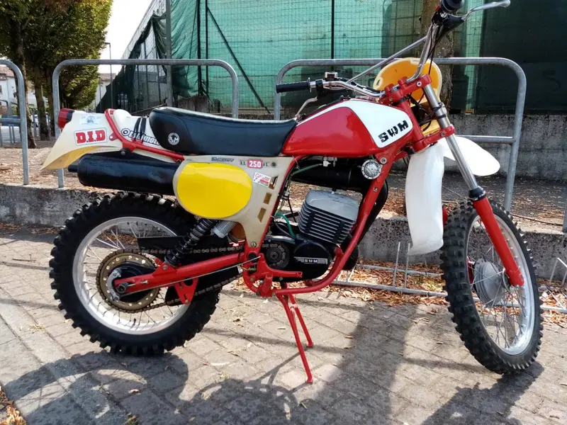 Swm RS 250 gs (3)