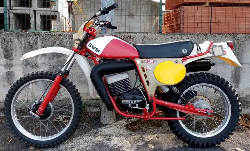 Swm RS 250 gs (4)