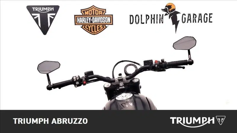 Ducati Scrambler 800 Icon Dark (2021 - 22) (13)