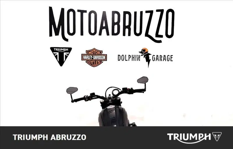 Ducati Scrambler 800 Icon Dark (2021 - 22) (12)