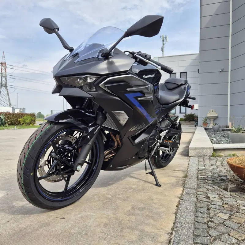 Kawasaki Ninja 500 SE (2024 - 26) (4)