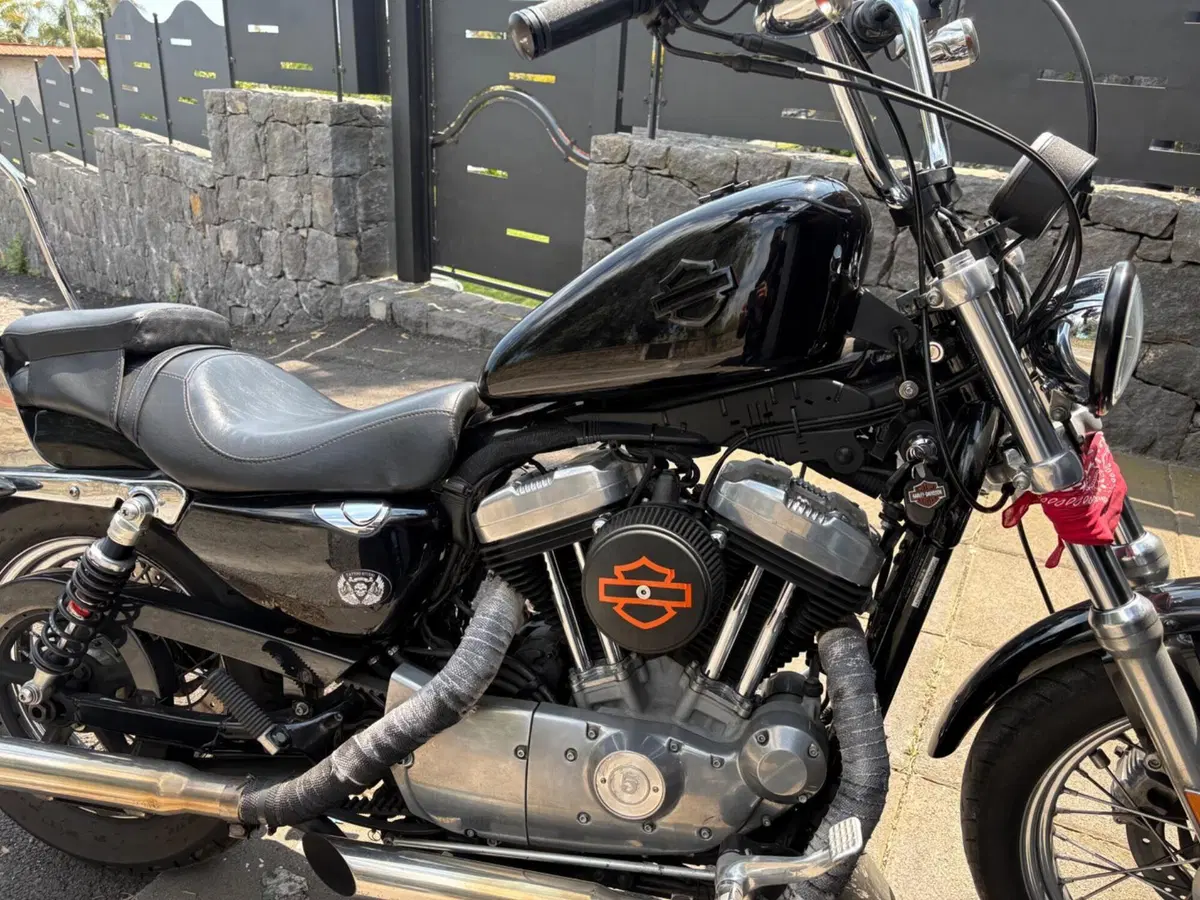 Harley-Davidson 883 (2008 - 09) - XL (2)