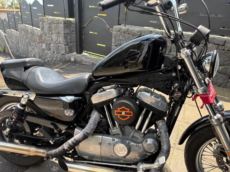 Harley-Davidson 883 (2008 - 09) - XL (2)
