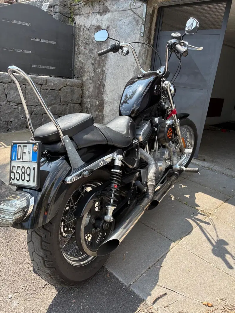 Harley-Davidson 883 (2008 - 09) - XL (5)
