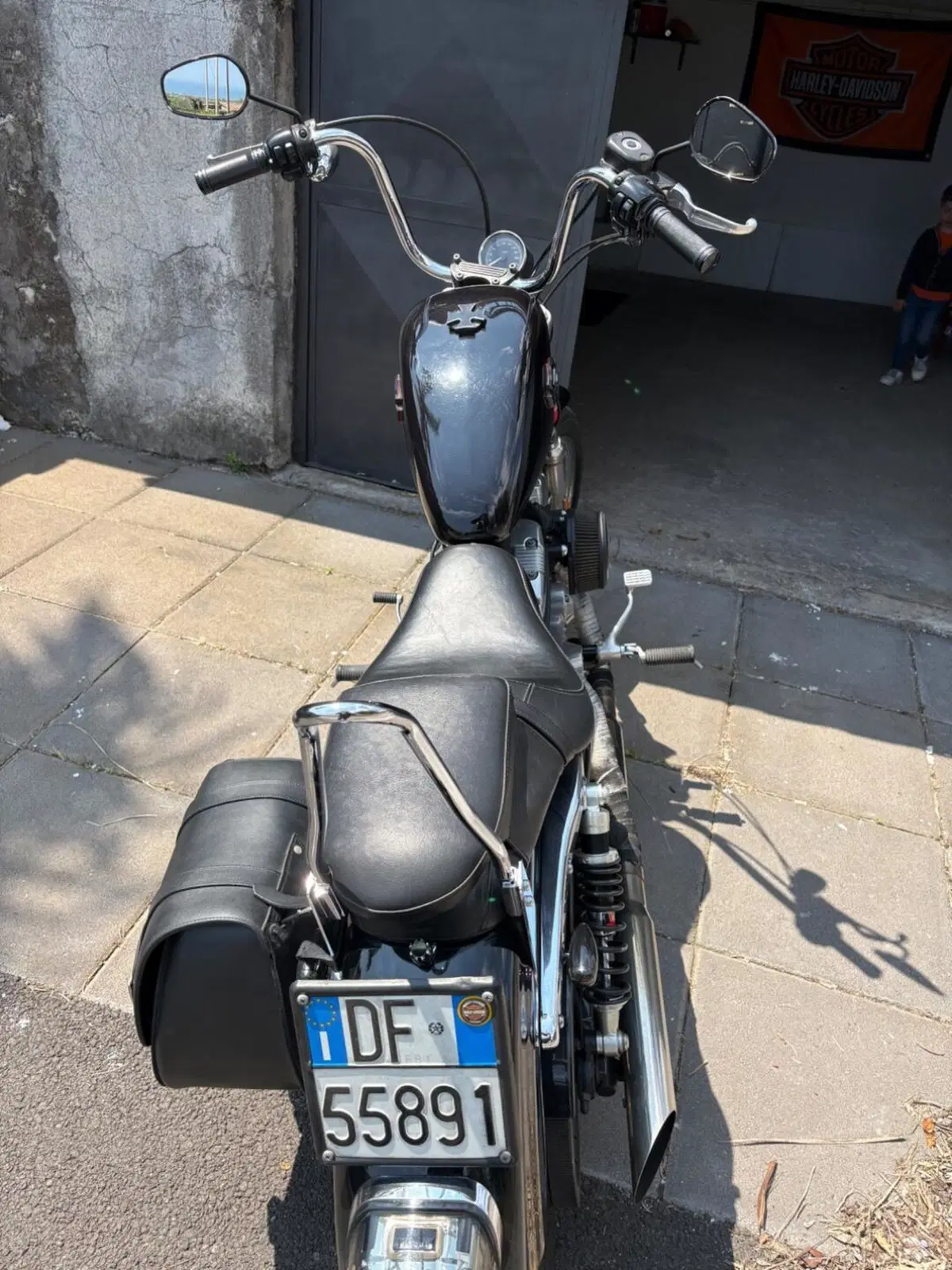 Harley-Davidson 883 (2008 - 09) - XL (6)