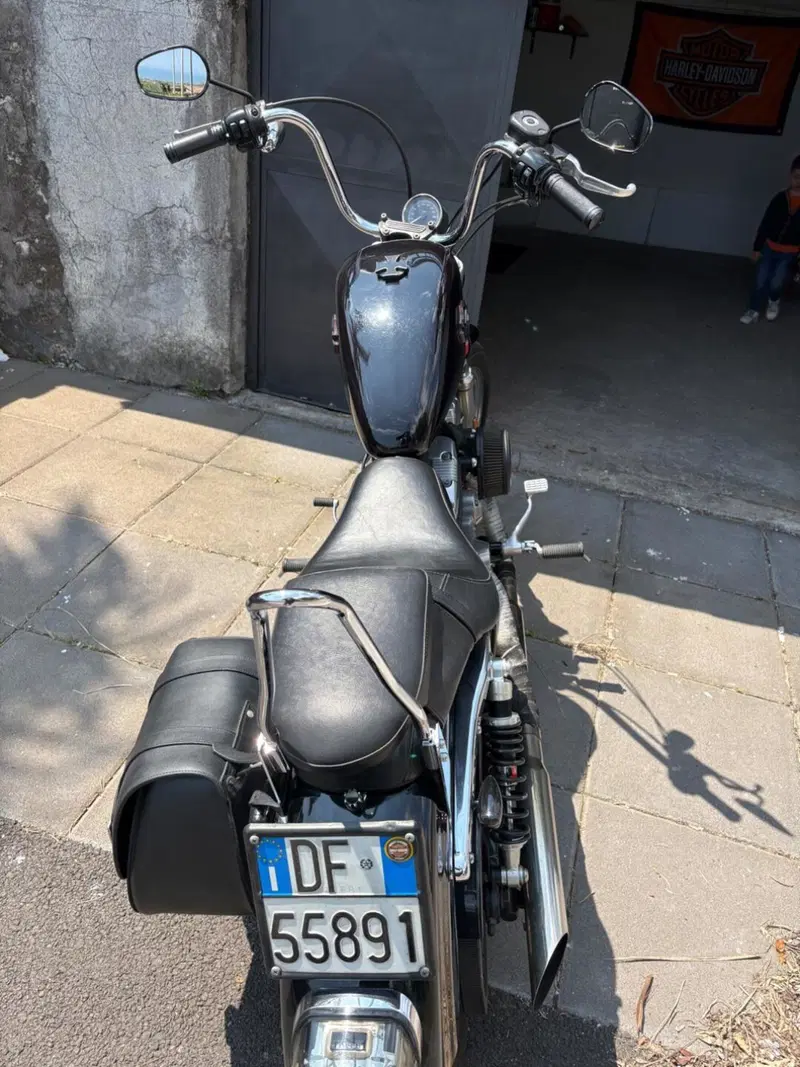 Harley-Davidson 883 (2008 - 09) - XL (6)