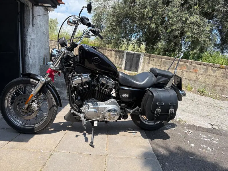 Harley-Davidson 883 (2008 - 09) - XL (7)