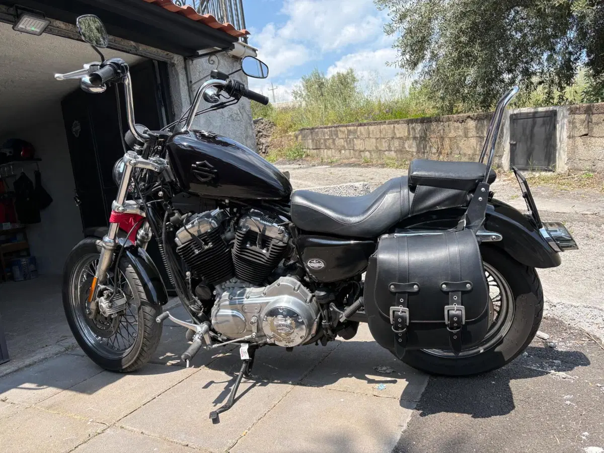 Harley-Davidson 883 (2008 - 09) - XL (8)