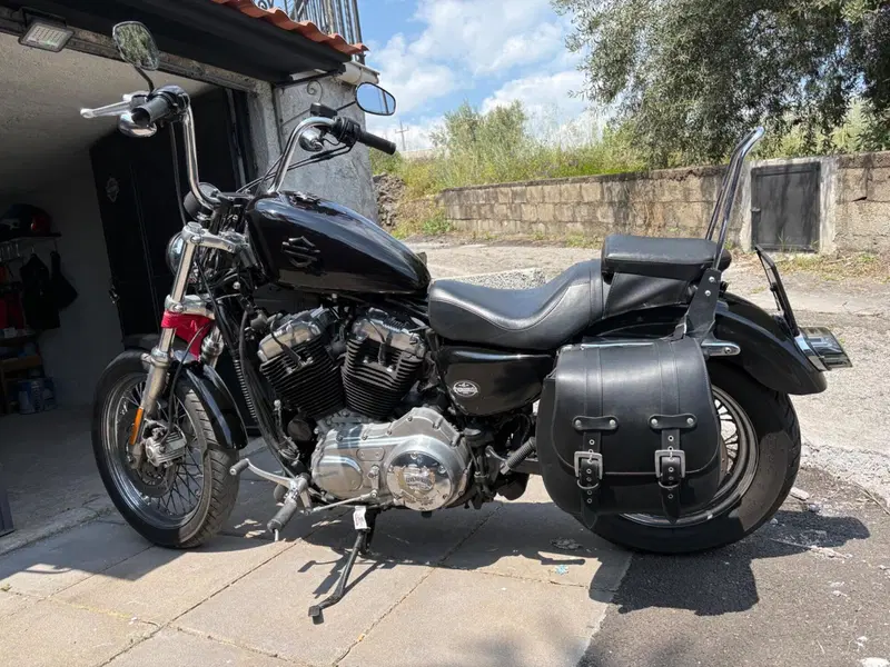 Harley-Davidson 883 (2008 - 09) - XL (8)