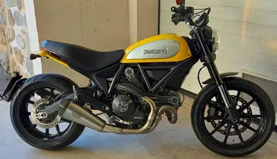 Ducati Scrambler 800 Icon (2015 - 16) usata