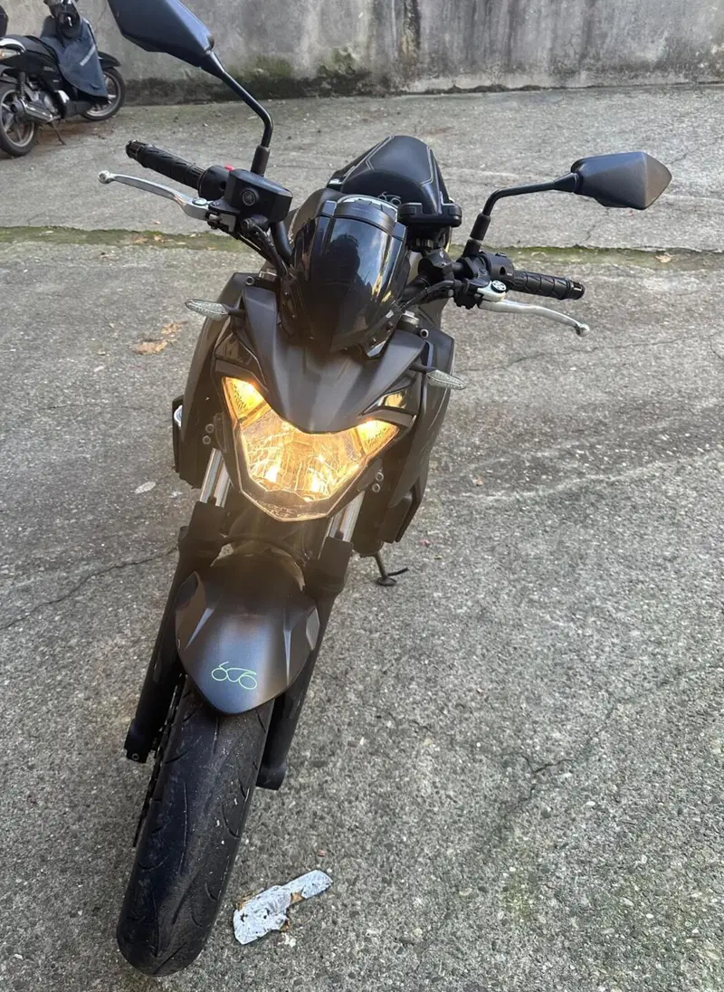 Kawasaki Z 650 (2017 - 19) (5)