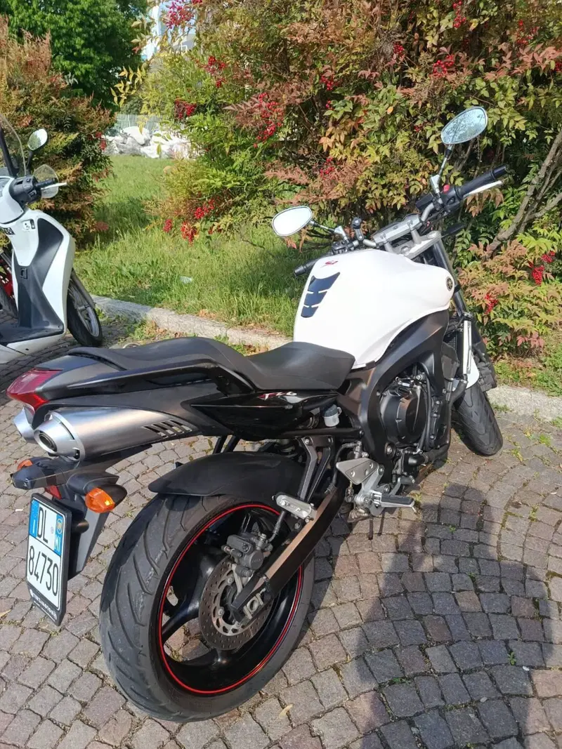 Yamaha FZ6 S2 (2007 - 11)