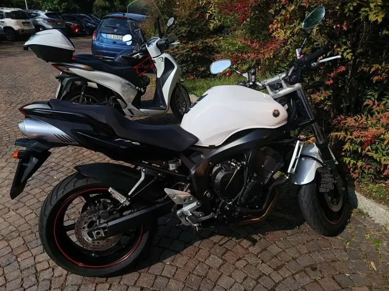 Yamaha FZ6 S2 (2007 - 11) (3)