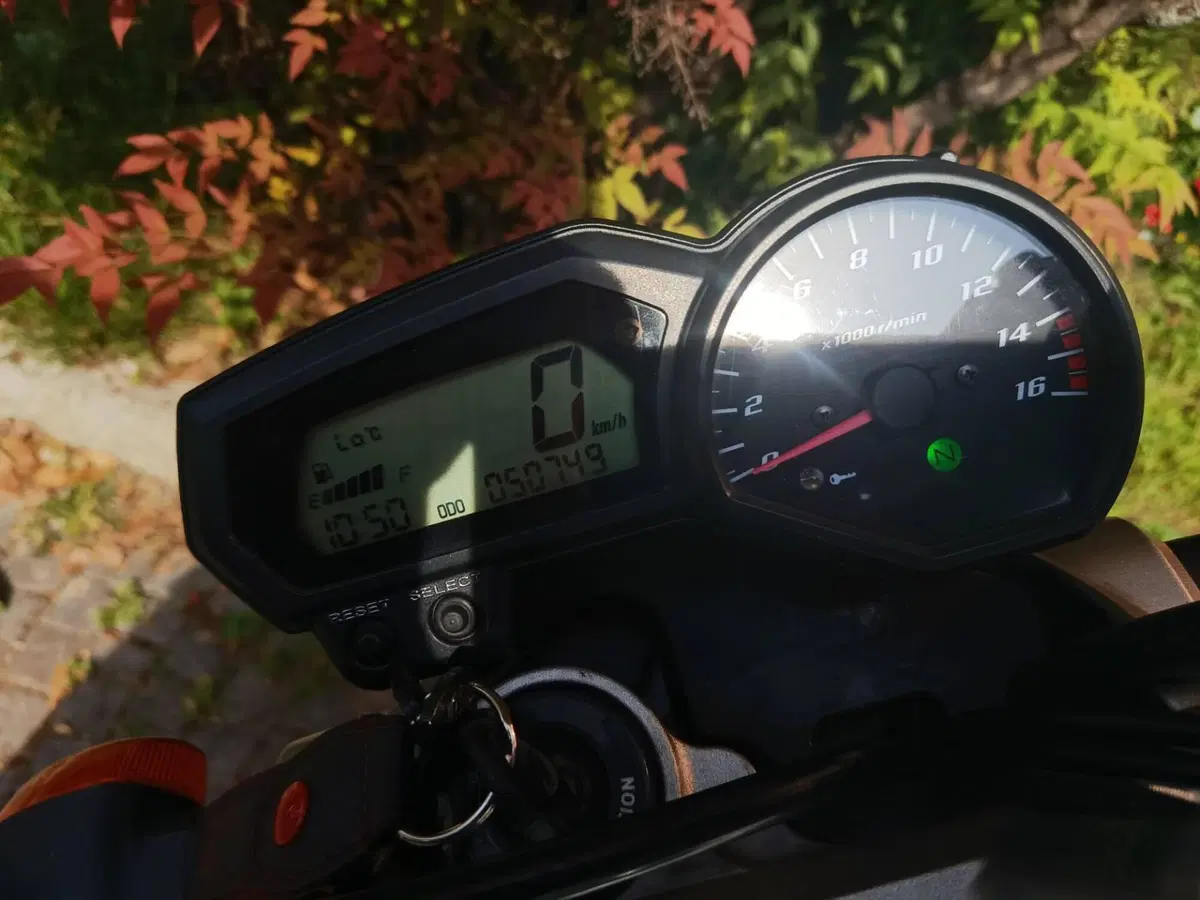 Yamaha FZ6 S2 (2007 - 11) (5)