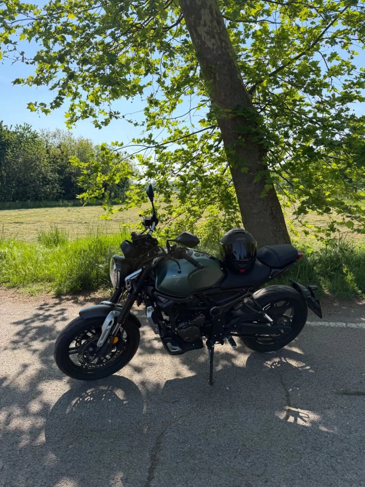 Voge Trofeo 300AC (2021 - 26) (6)