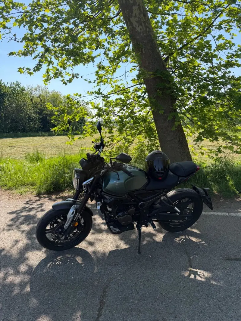 Voge Trofeo 300AC (2021 - 26) (6)