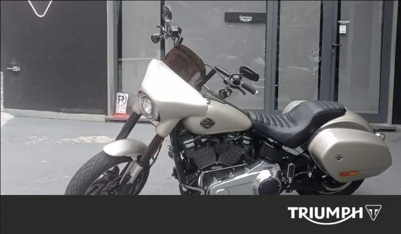 Harley-Davidson 107 Sport Glide (2018 - 20) (3)