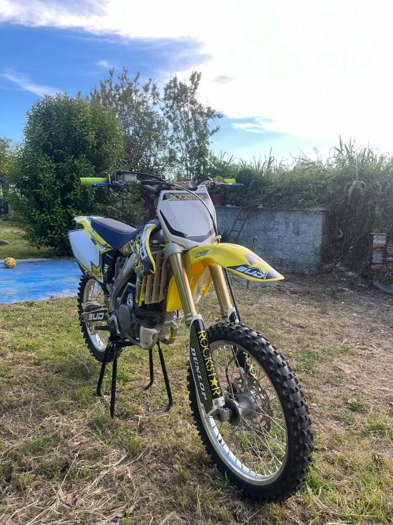 Suzuki RM-Z 250 (2008 - 11) (3)