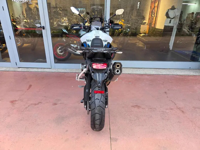 Triumph Tiger 900 Alpine Special Edition (2026) (11)
