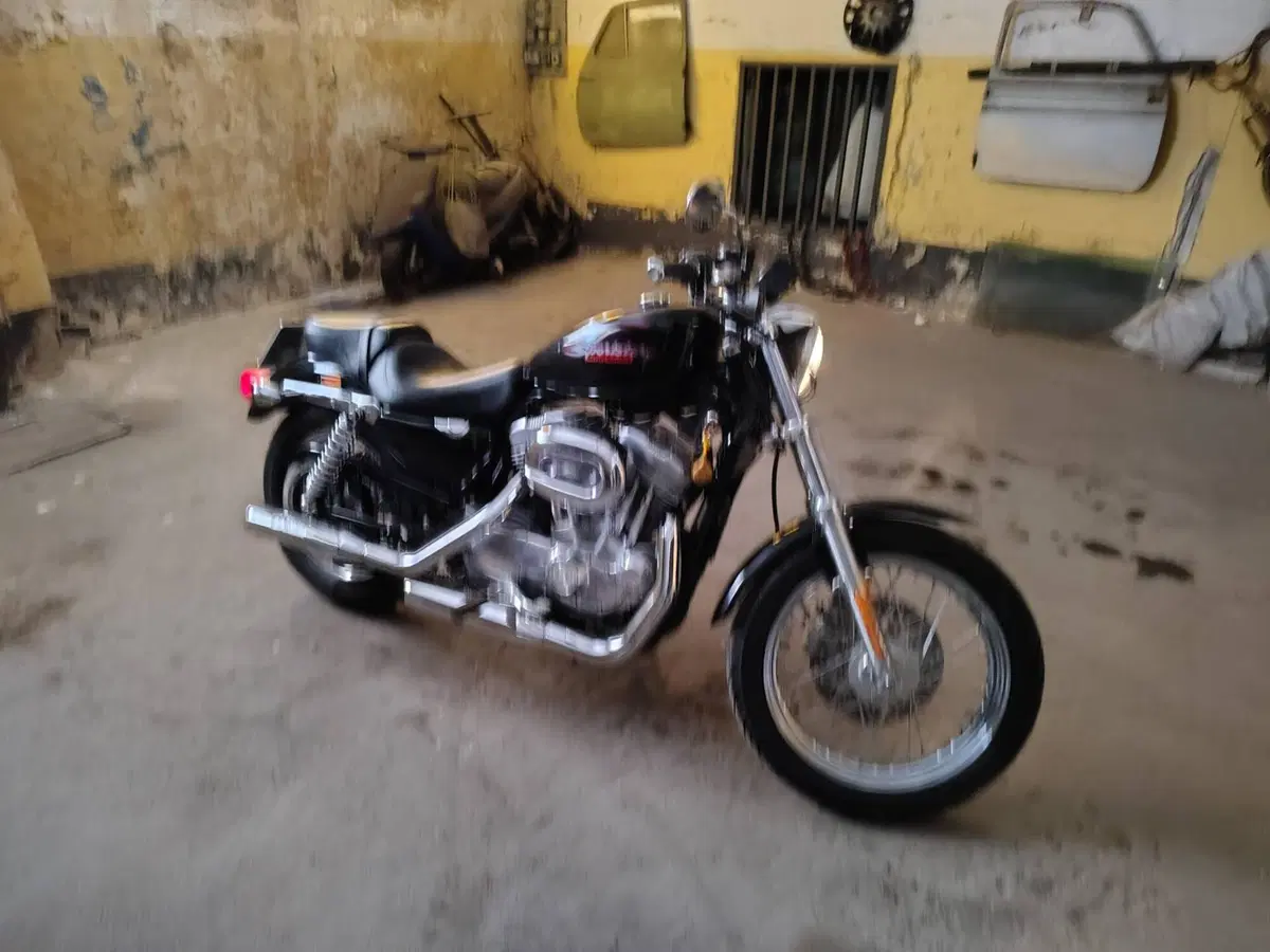 Harley-Davidson 883 (2006 - 07) - XL (2)