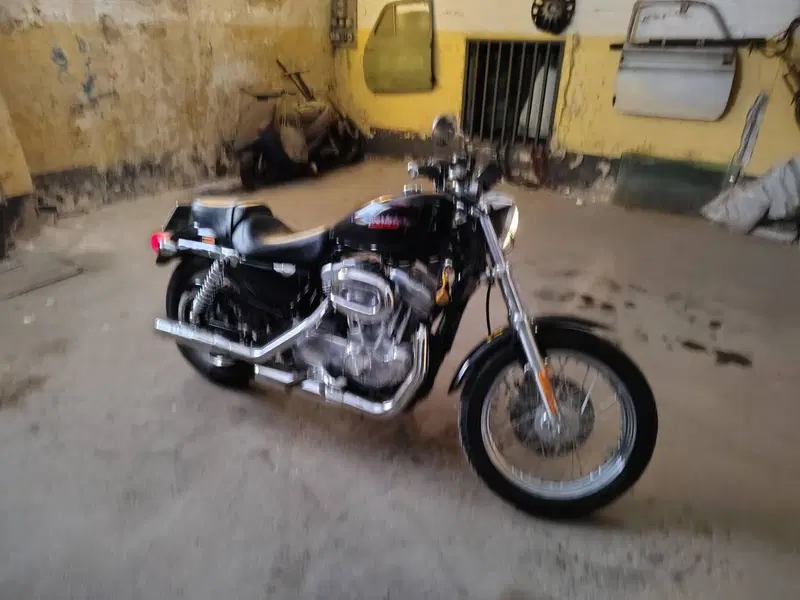 Harley-Davidson 883 (2006 - 07) - XL (2)
