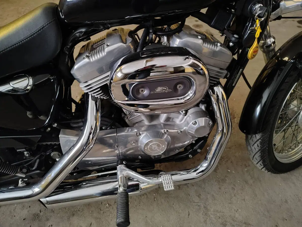Harley-Davidson 883 (2006 - 07) - XL (9)