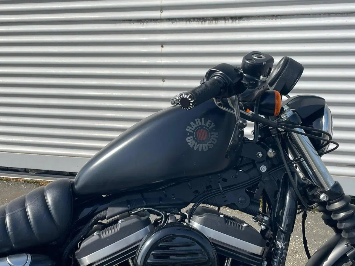 Harley-Davidson 883 Iron (2017 - 20) - XL 883N (5)