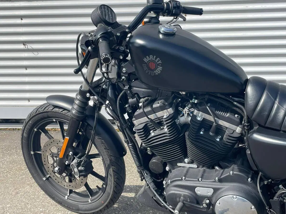 Harley-Davidson 883 Iron (2017 - 20) - XL 883N (10)