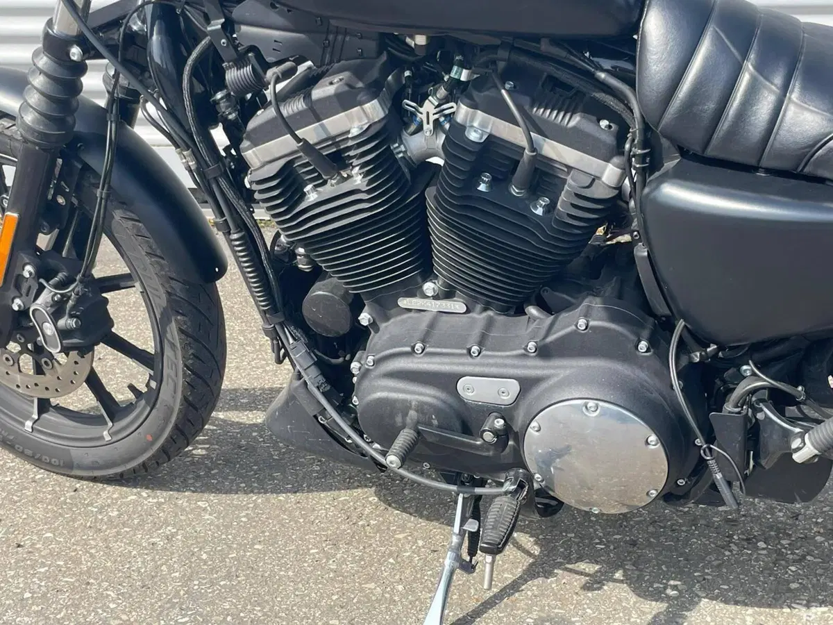 Harley-Davidson 883 Iron (2017 - 20) - XL 883N (15)