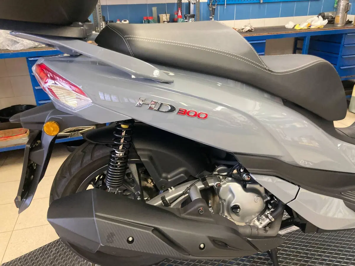 Sym HD 300 (2021 - 25) (2)