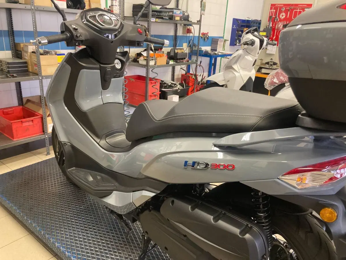Sym HD 300 (2021 - 25) (5)