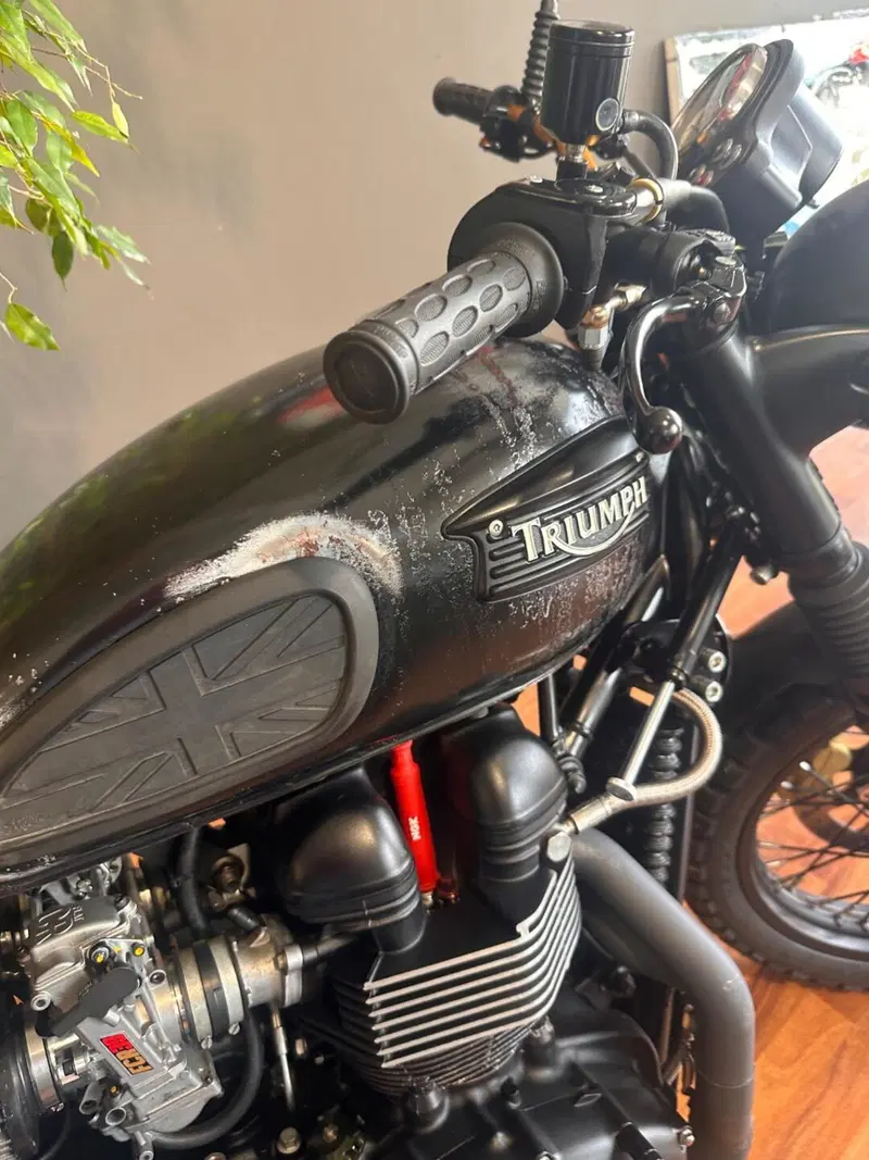 Triumph Bonneville T100 (2001 - 07) (10)