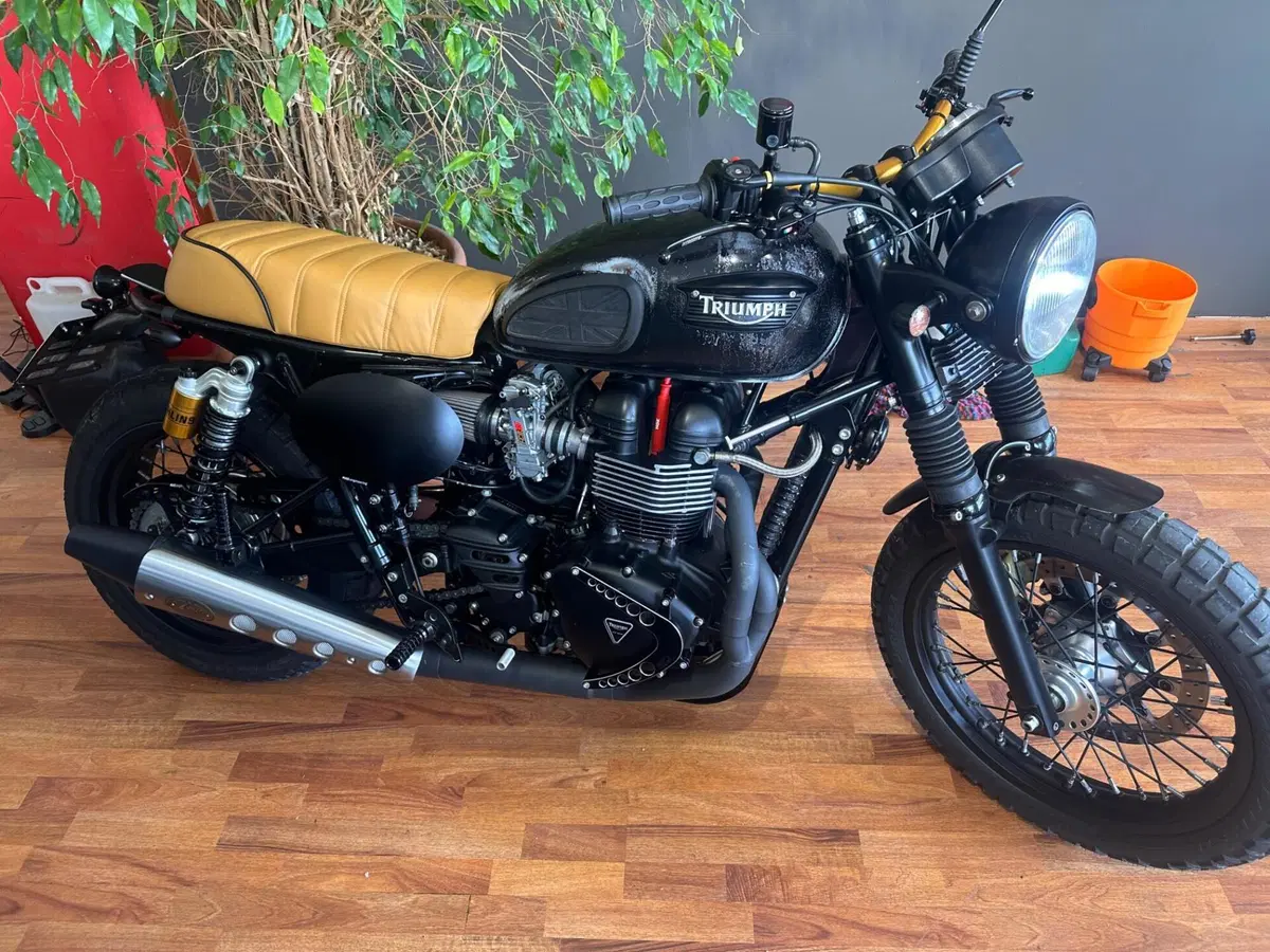 Triumph Bonneville T100 (2001 - 07) (11)