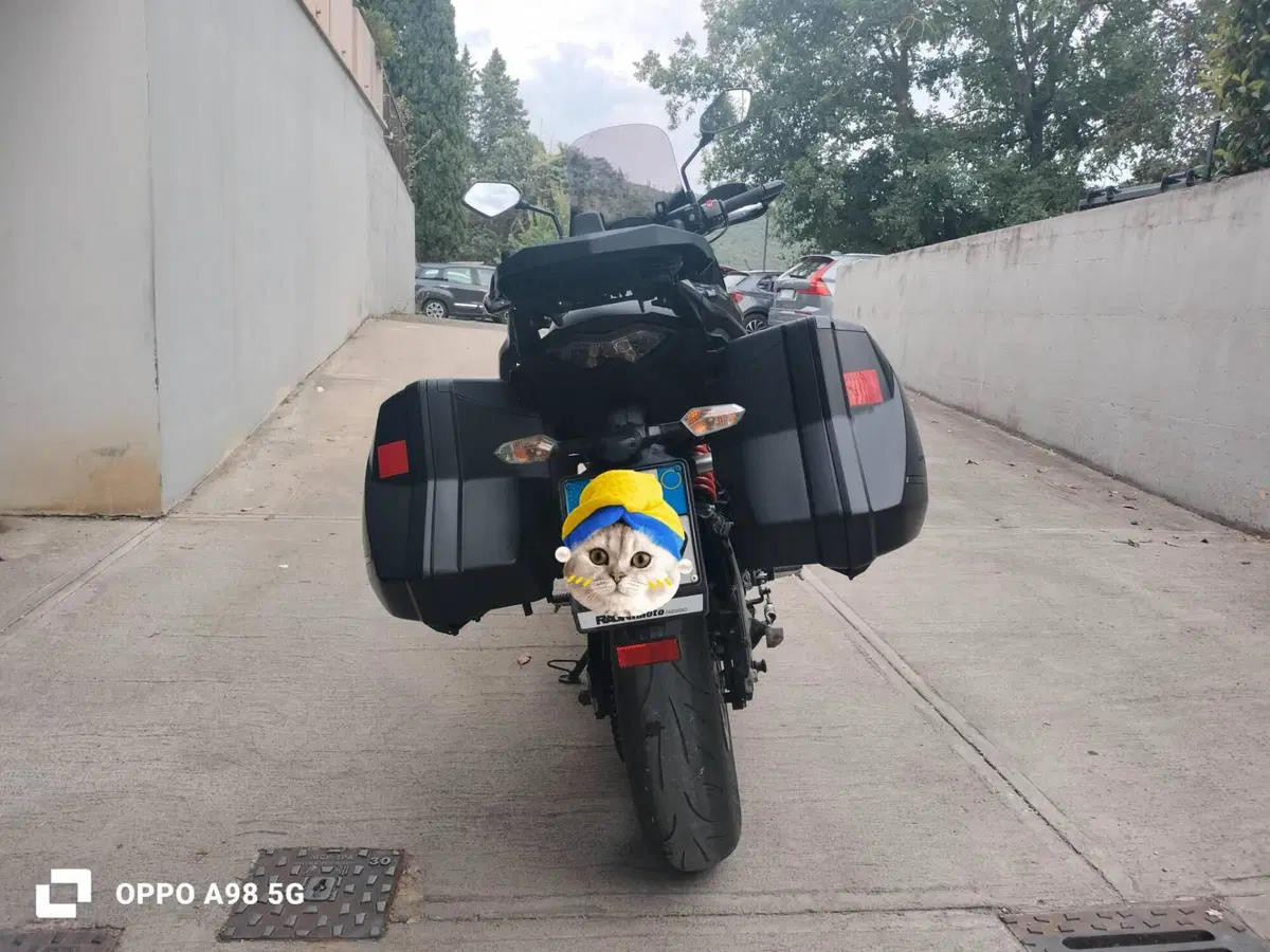 Kawasaki Versys 650 Grand Tourer ABS (2015 - 16) (8)