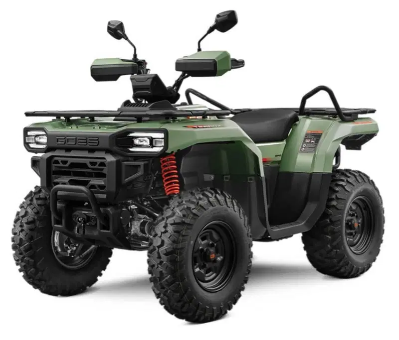  Altre moto o tipologie Quad (3)