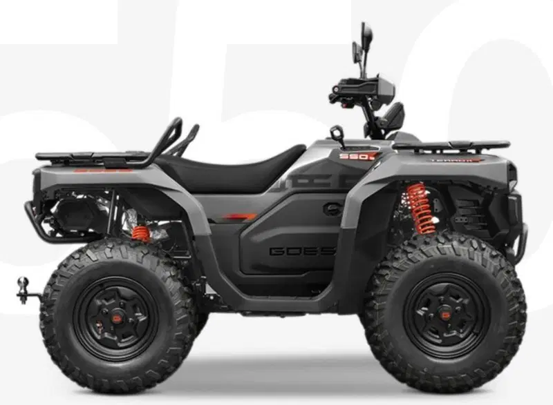 Altre moto o tipologie Quad (2)
