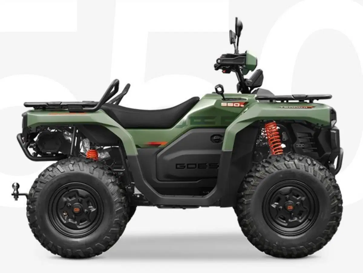  Altre moto o tipologie Quad (4)