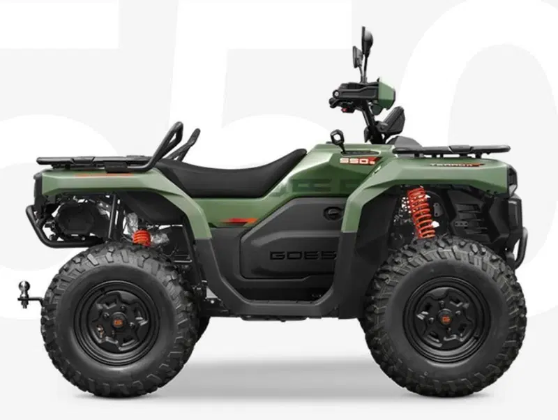  Altre moto o tipologie Quad (4)