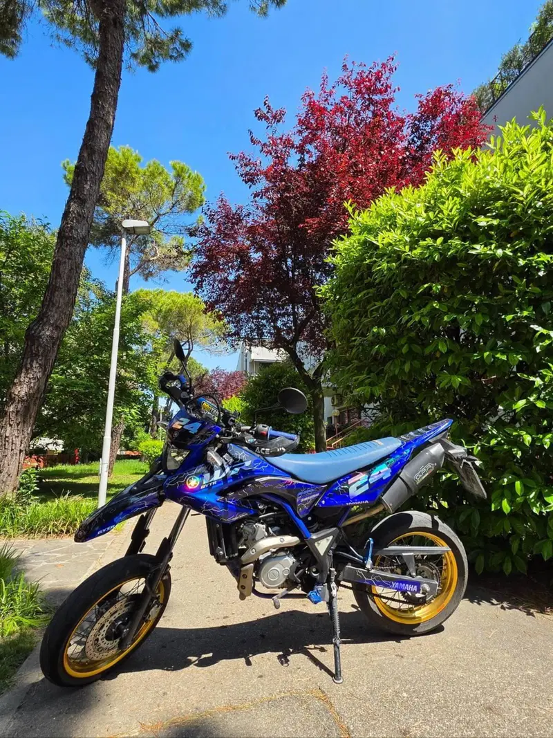 Yamaha WR 125 X (2009 - 16) (4)