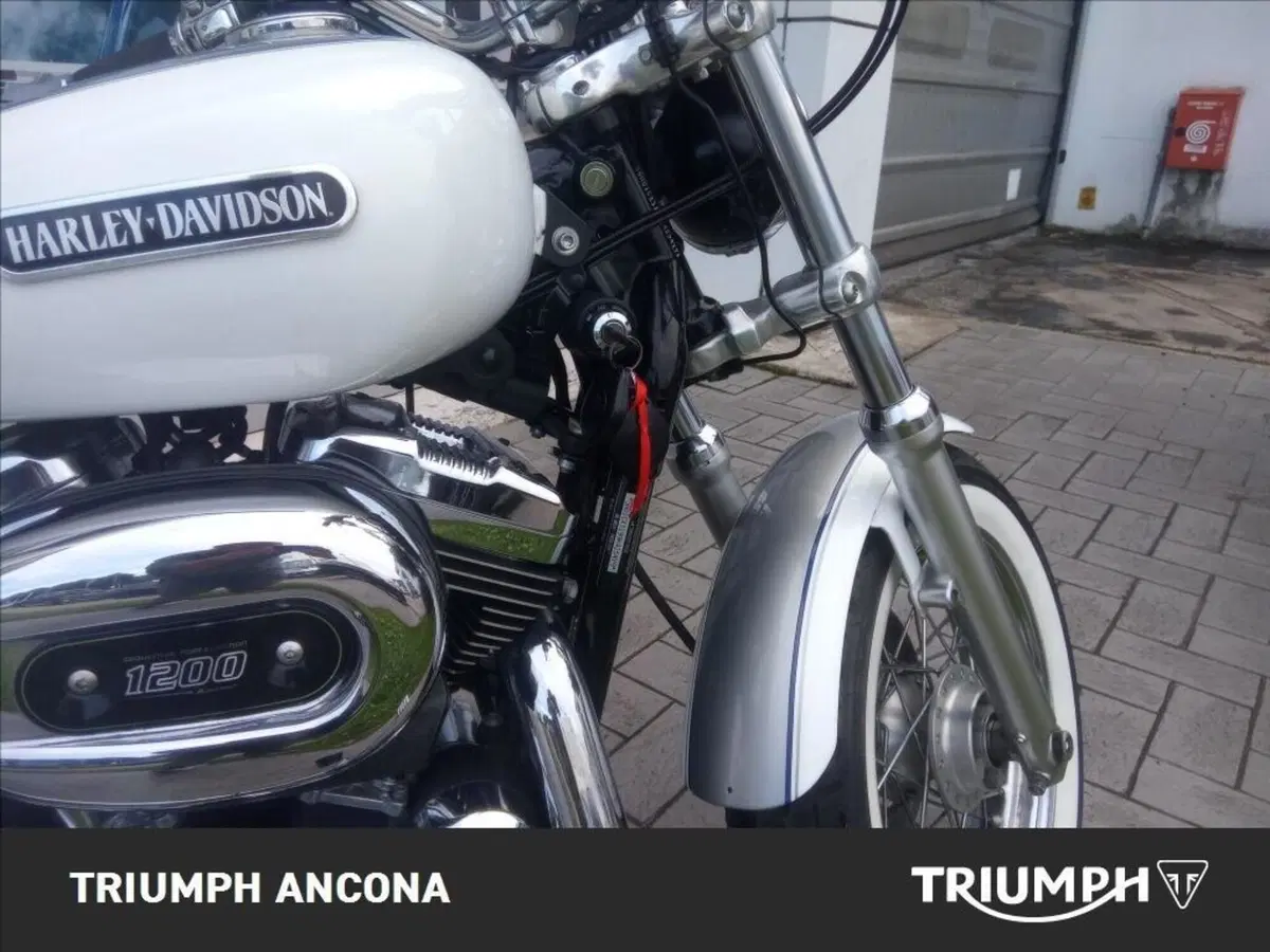 Harley-Davidson 1200 Low (2008 - 09) - XL 1200L (14)