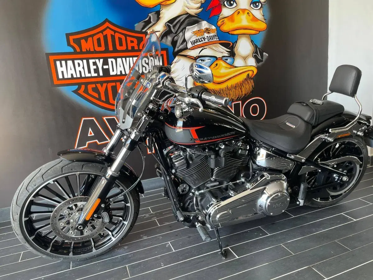 Harley-Davidson Breakout 117 (2023 - 24) (9)