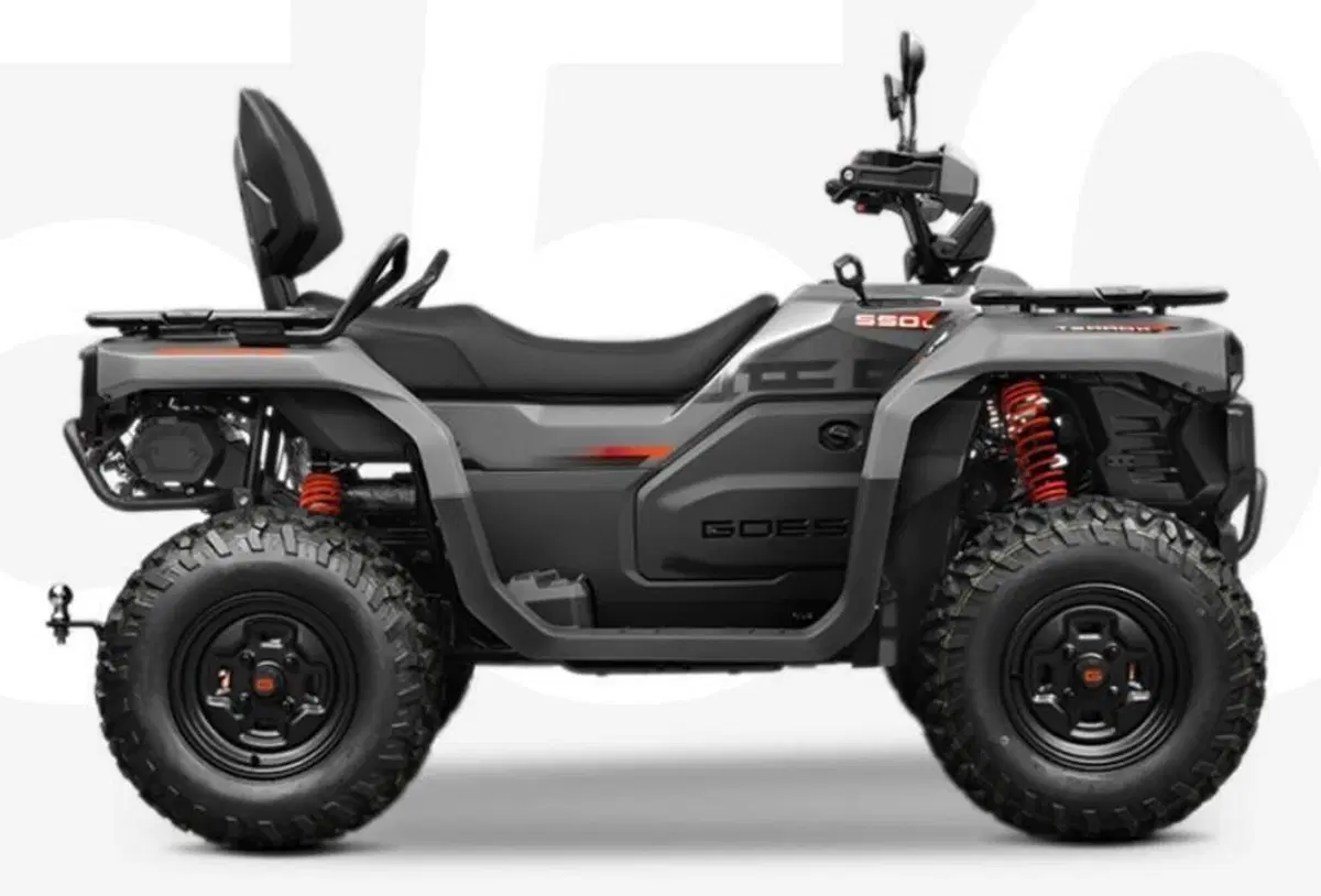  Altre moto o tipologie Quad (2)