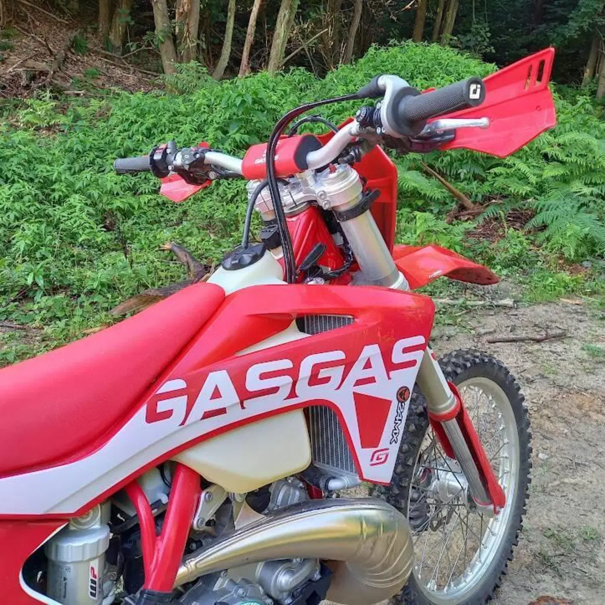 GASGAS EC 300 (2022) (3)