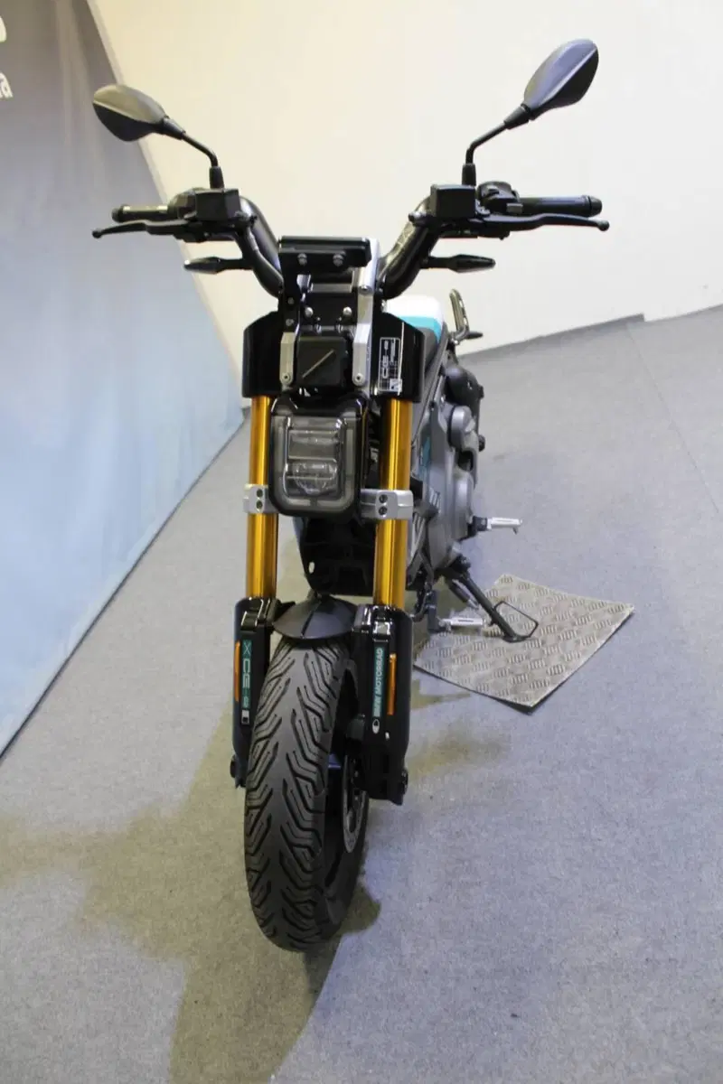 Bmw CE 02 (2024 - 26) (14)