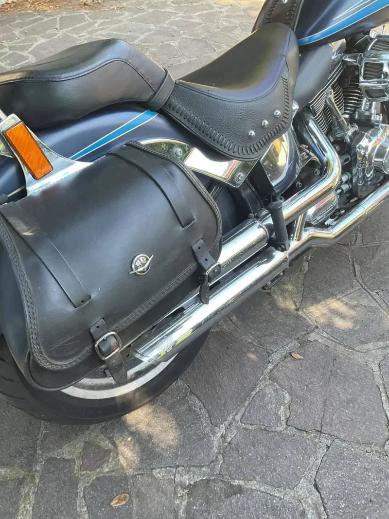 Harley-Davidson 1584 Fat Boy (2008 - 10) - FLSTF (9)