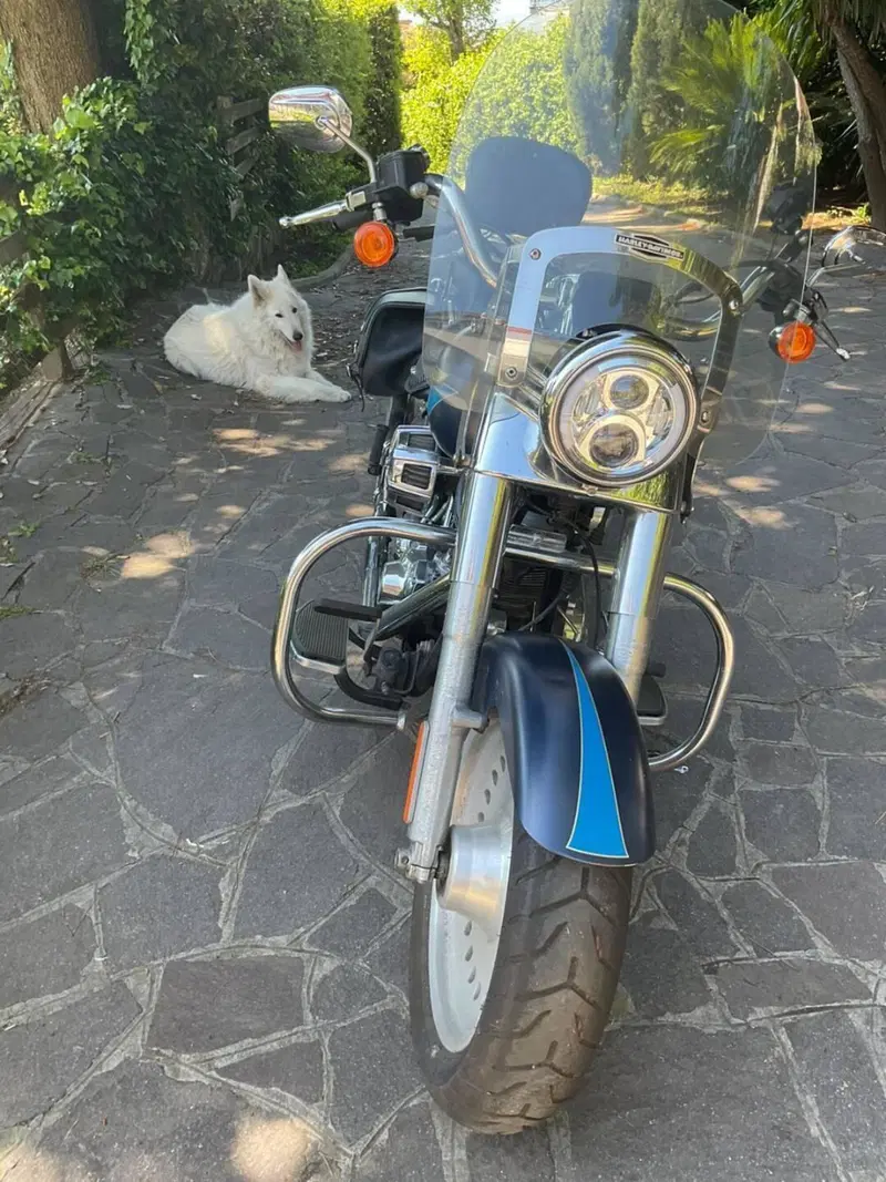 Harley-Davidson 1584 Fat Boy (2008 - 10) - FLSTF (6)